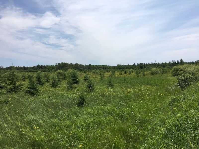 7049 County Road 97, Gilbert, MN 55741