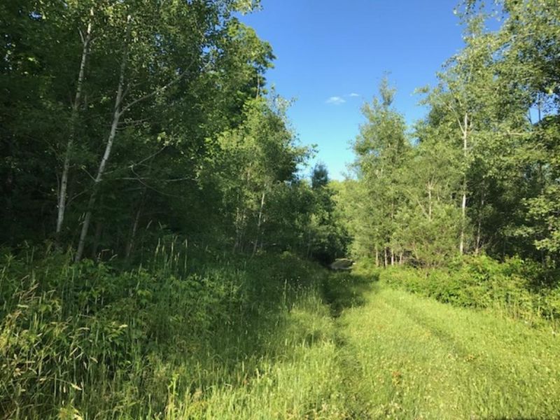 000 Meadow Dam Rd, Bruce, WI 54819