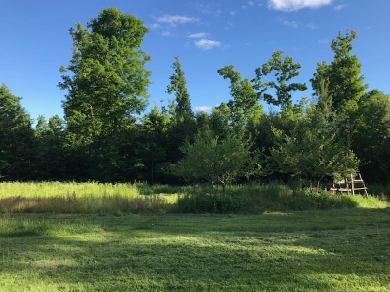 000 Meadow Dam Rd, Bruce, WI 54819