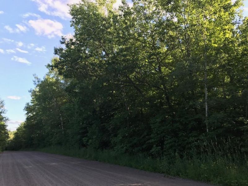 000 Meadow Dam Rd, Bruce, WI 54819