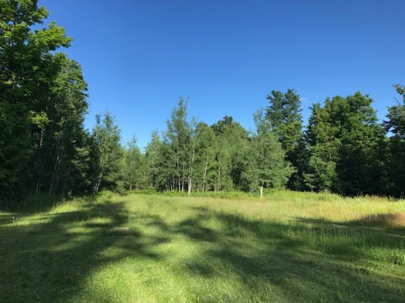 000 Meadow Dam Rd, Bruce, WI 54819