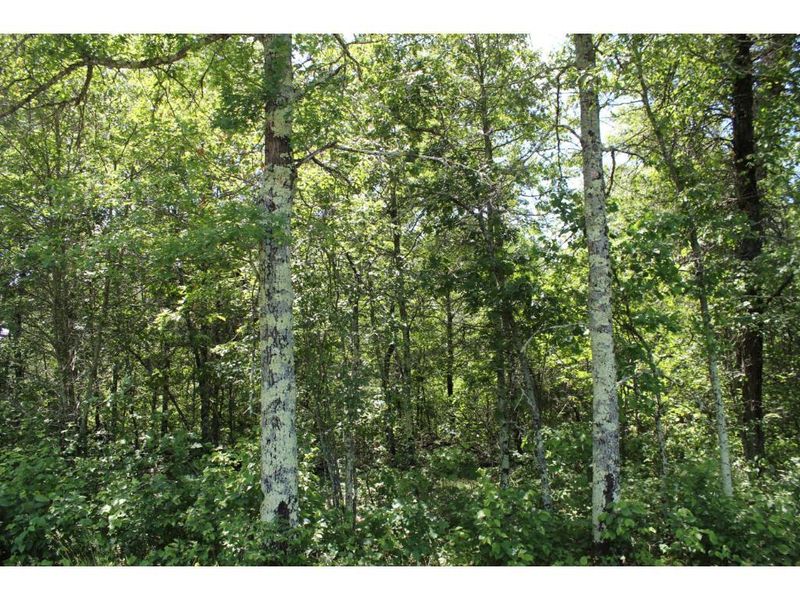 00 County Rd F, Grantsburg, WI 54840