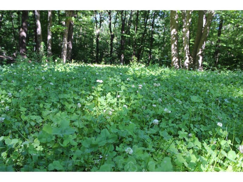 xxx Amos Rd, Pine City, MN 55063