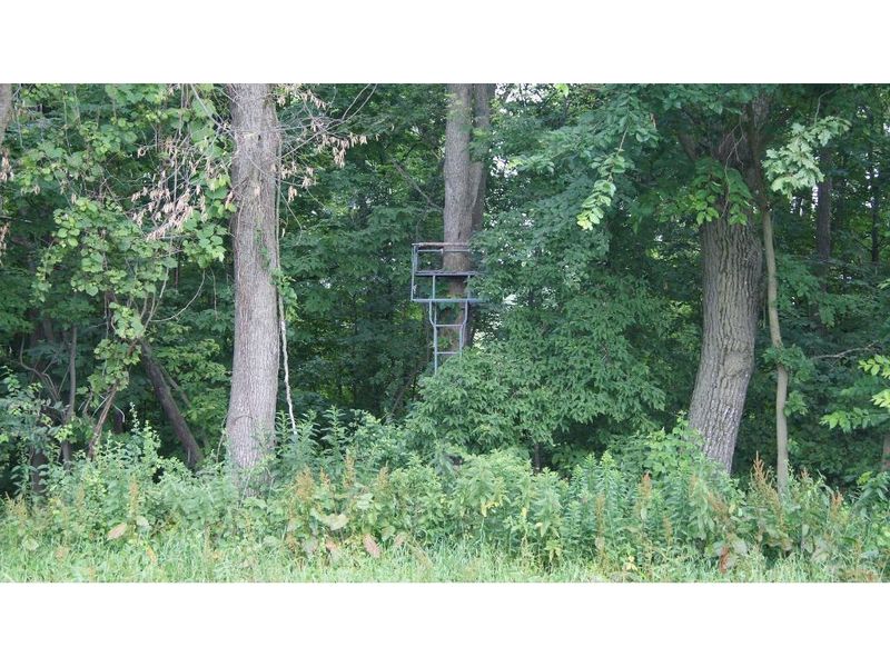 W8797 Pepin Hill Rd, Pepin, WI 54759