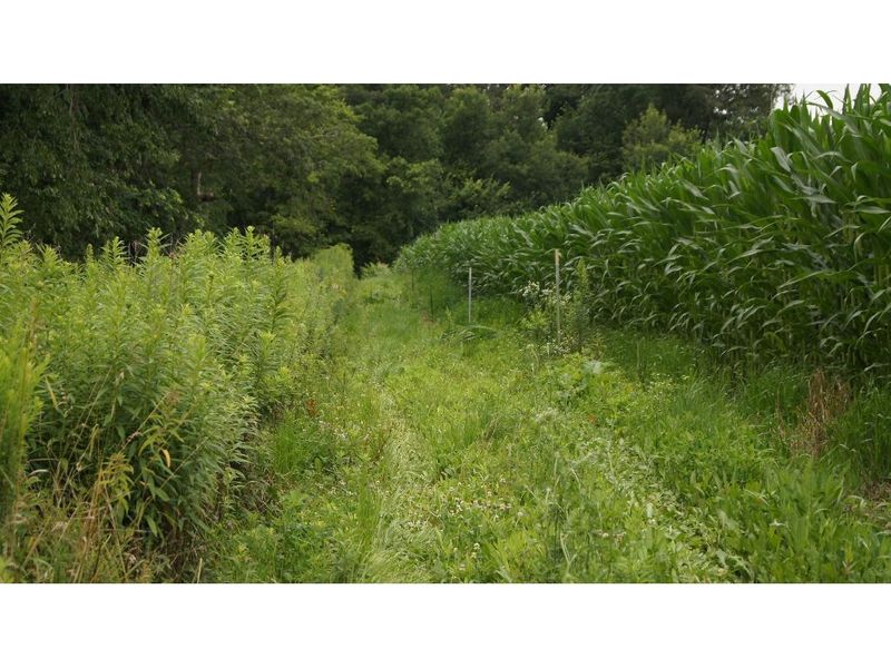 W8797 Pepin Hill Rd, Pepin, WI 54759