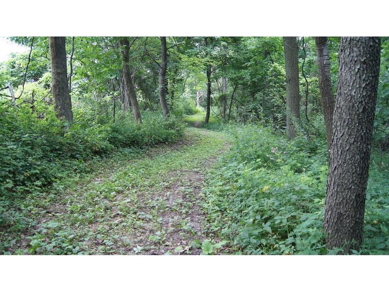 W8797 Pepin Hill Rd, Pepin, WI 54759