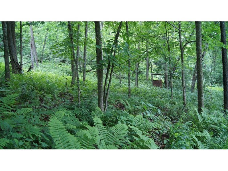 W8797 Pepin Hill Rd, Pepin, WI 54759