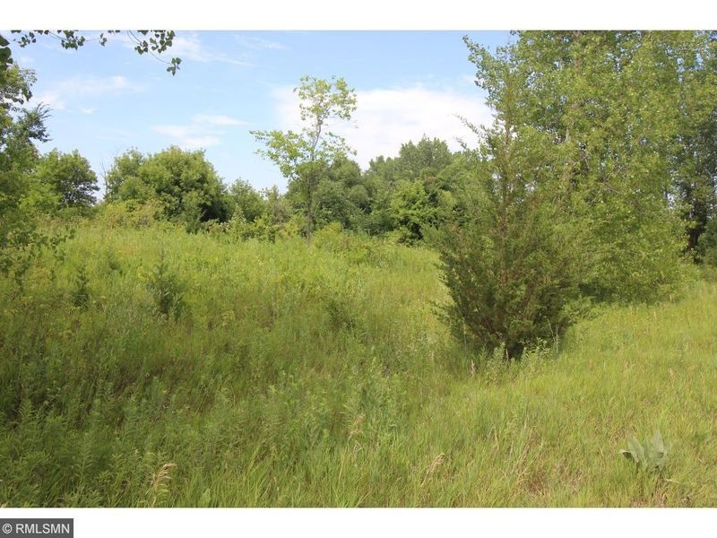 0 Foxtail Ln, Lake Crystal, MN 56055