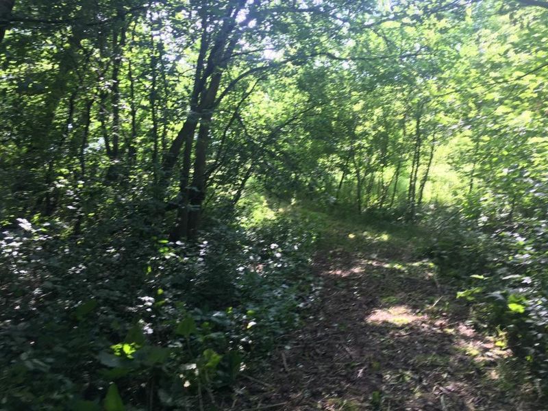 W11389 840th Ave, River Falls, WI 54022