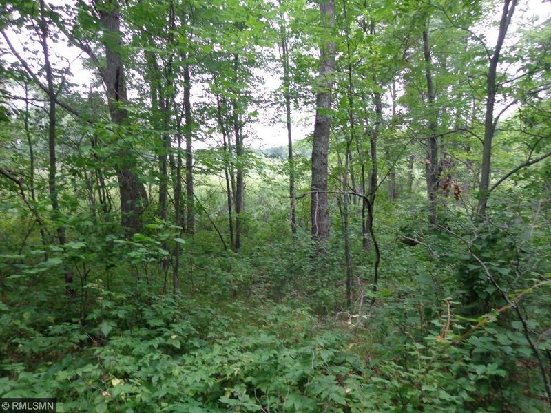 00 County Road 102 Rd, Ironton, MN 56455