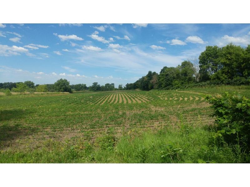 xxxxx 710th Ave, Kimball, MN 55353
