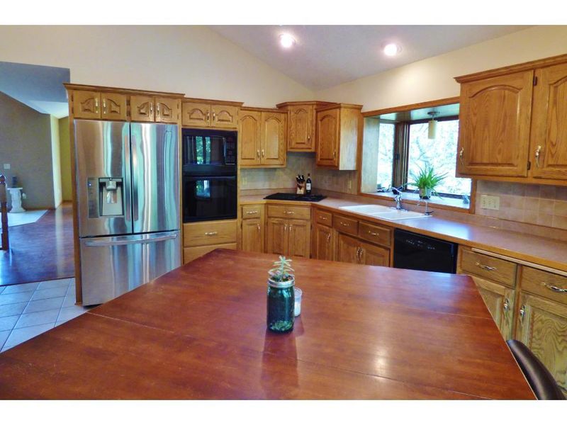 1294 Velvetleaf Ln, Lino Lakes, MN 55014