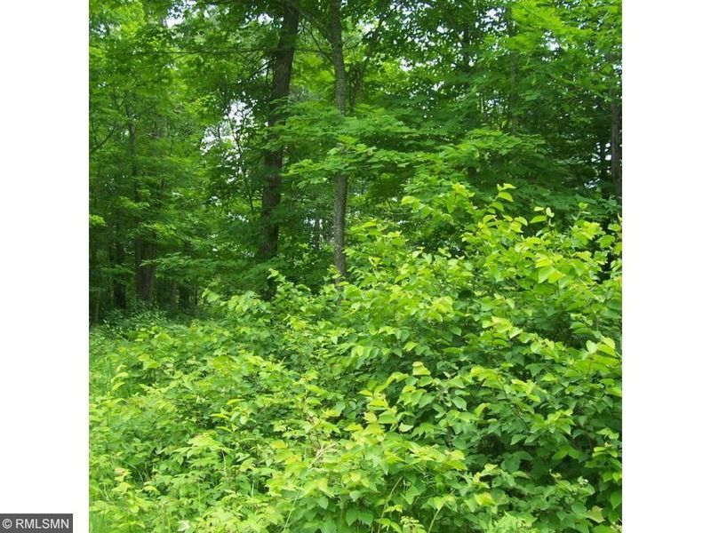 xxx Lot 2 Wheeler Dr, Northome, MN 56661