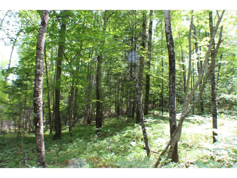 TBD Takooshin Rd, Bigfork, MN 56628