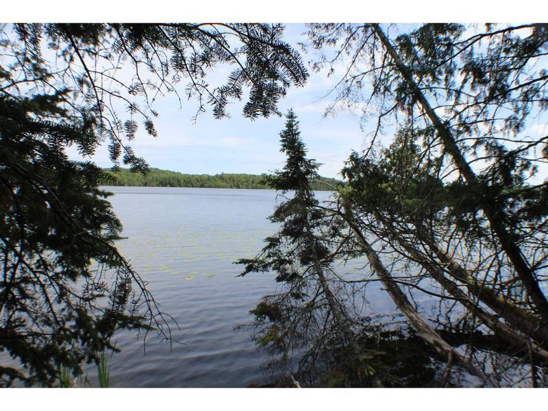 TBD Takooshin Rd, Bigfork, MN 56628