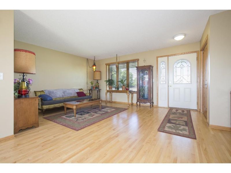 15173 Martha St, Hamburg, MN 55339