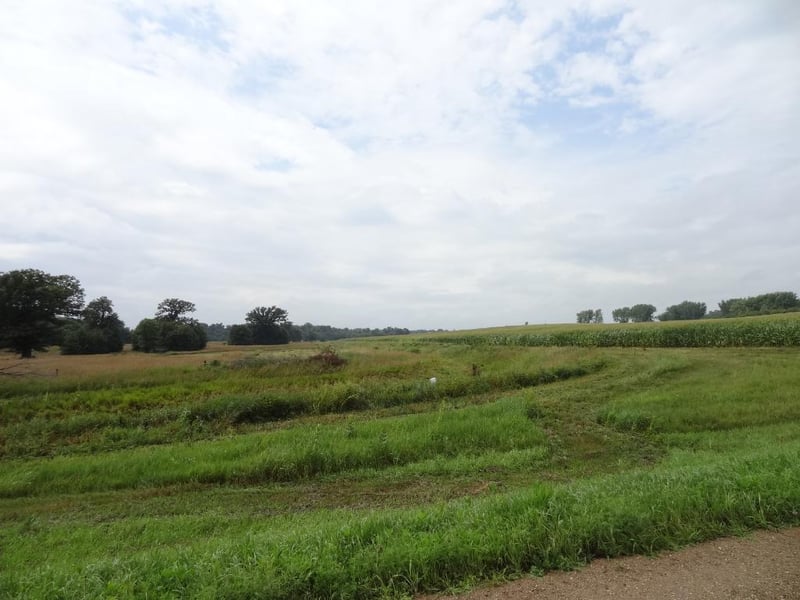XXX 183rd Ave, Montgomery, MN 56069