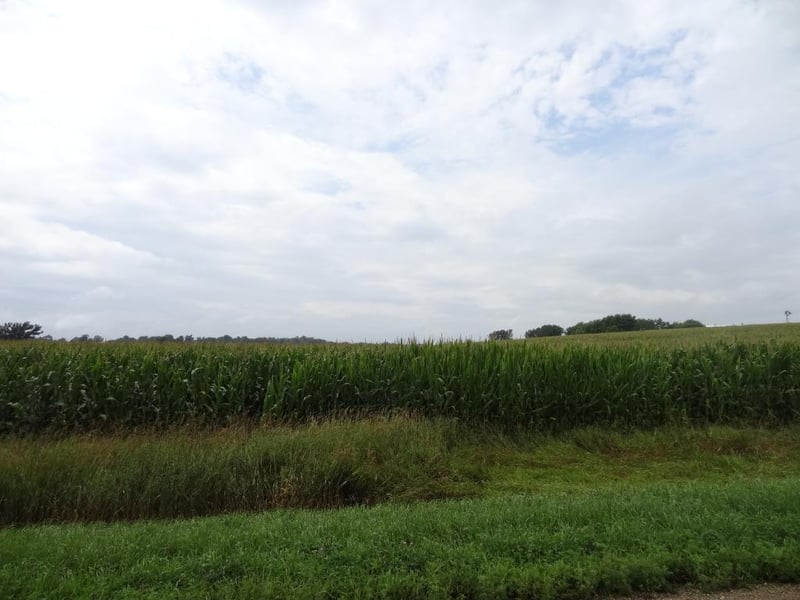 XXX 183rd Ave, Montgomery, MN 56069