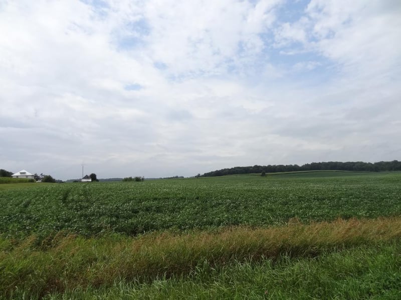 XXX 183rd Ave, Montgomery, MN 56069