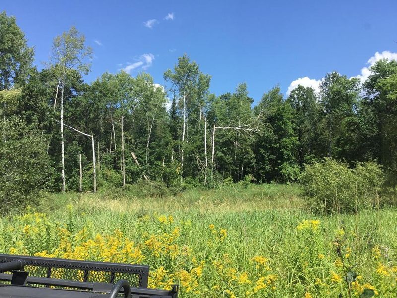 17303 Roosevelt Rd SE, Cass Lake, MN 56633