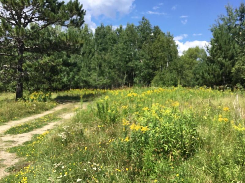 17303 Roosevelt Rd SE, Cass Lake, MN 56633