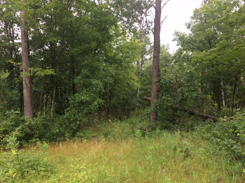 2859 Evergreen Ave, Cushing, WI 54006
