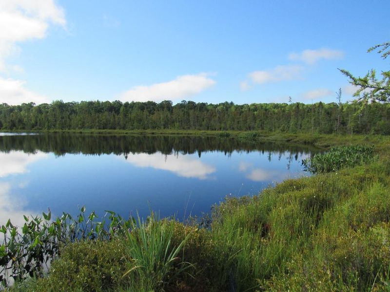 0 Lynch Bridge Rd, Siren, WI 54872
