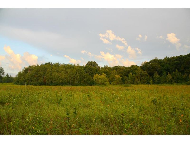 23324 295th Ave, Long Prairie, MN 56347