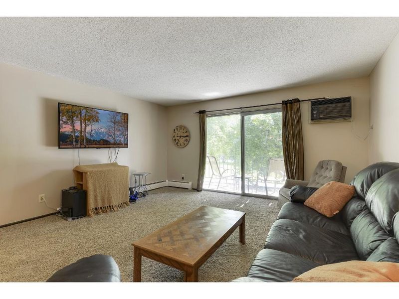 10311 Cedar Lake Rd #217, Minnetonka, MN 55305