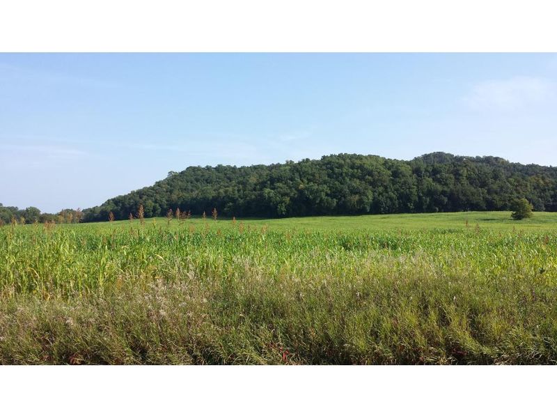 none Dry Coulee Rd, Nelson, WI 54756
