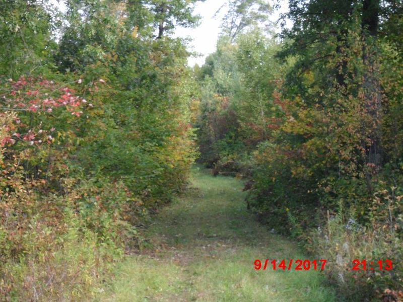 1512563 Perida Rd, Webster, WI 54893