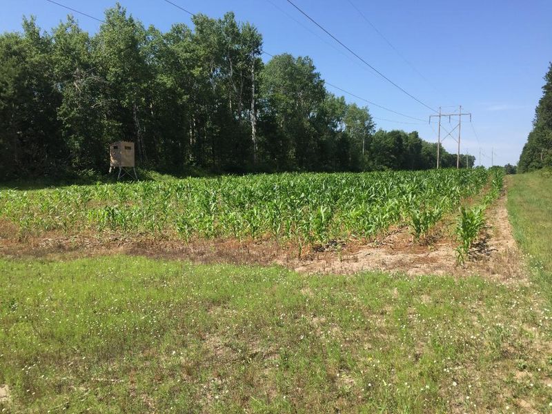 NESW-PtSESW Hubbard Line Rd, Menahga, MN 56464