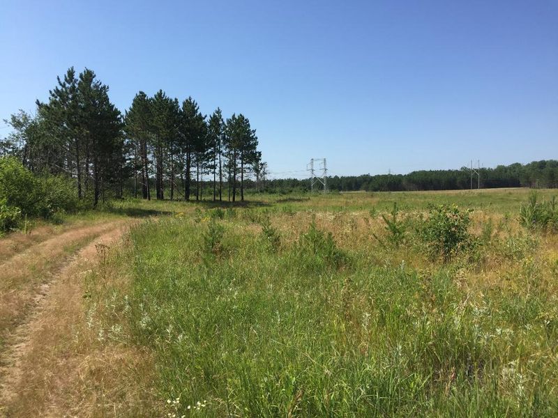 NESW-PtSESW Hubbard Line Rd, Menahga, MN 56464