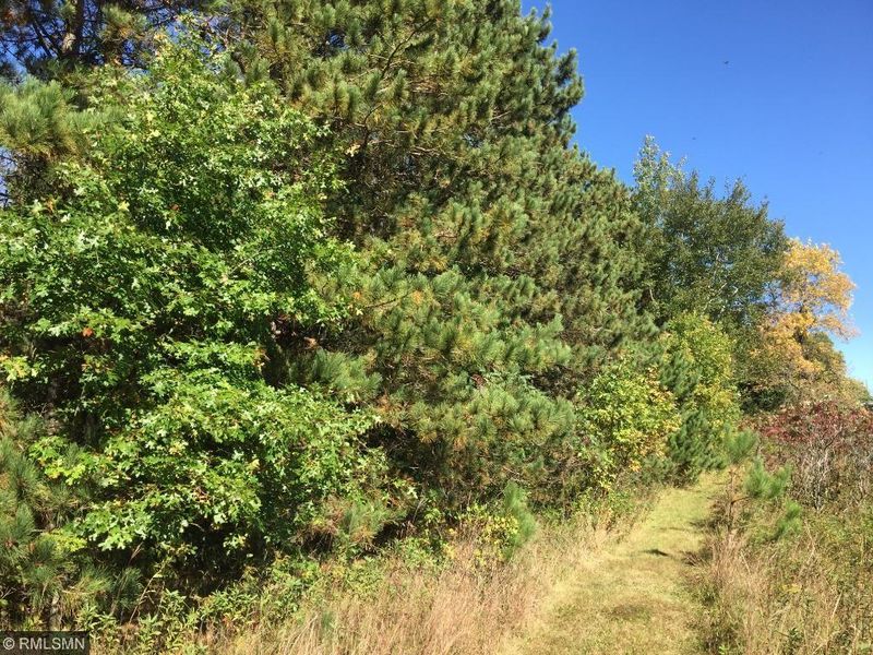 35xx 379th Ave NE, Stanchfield, MN 55080