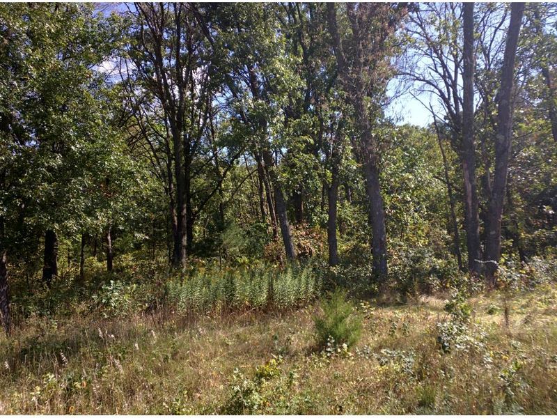 Lot 3 Blk 2 190th St NW, Big Lake, MN 55309