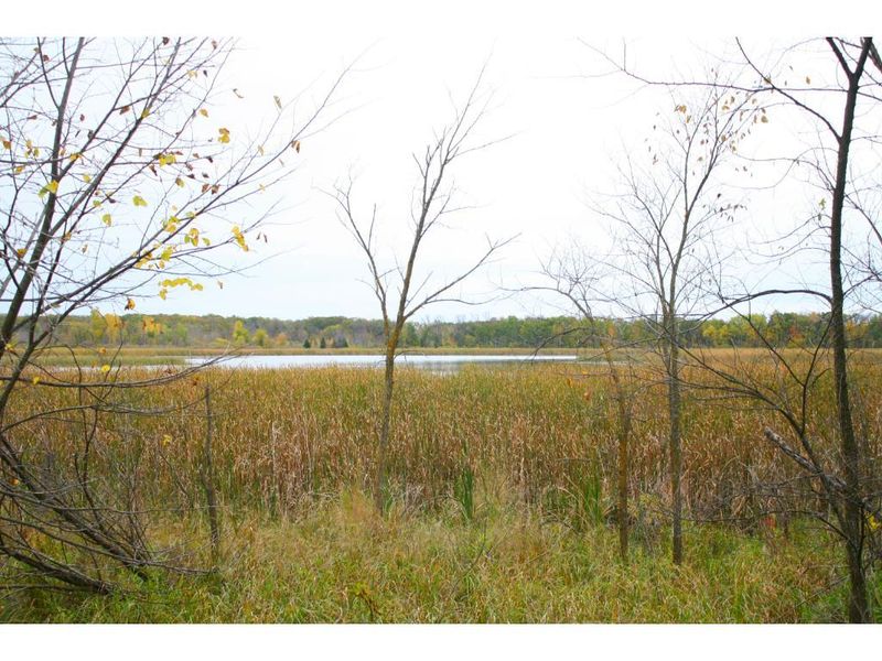 15494 Galaxy Rd, Osakis, MN 56360