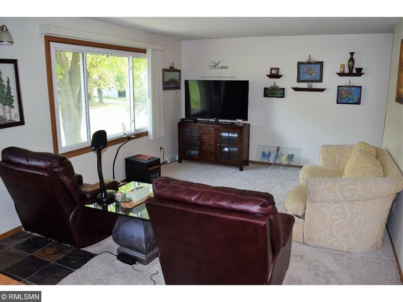 207 1st St, Delano, MN 55328