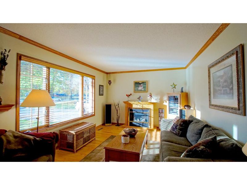 117 Village Ave, Cannon Falls, MN 55009