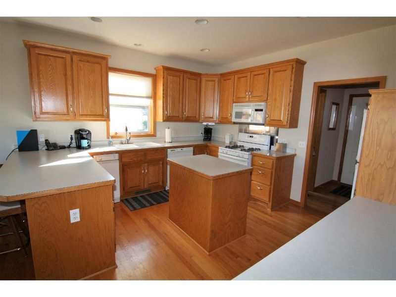 15833 Wake St NE, Ham Lake, MN 55304