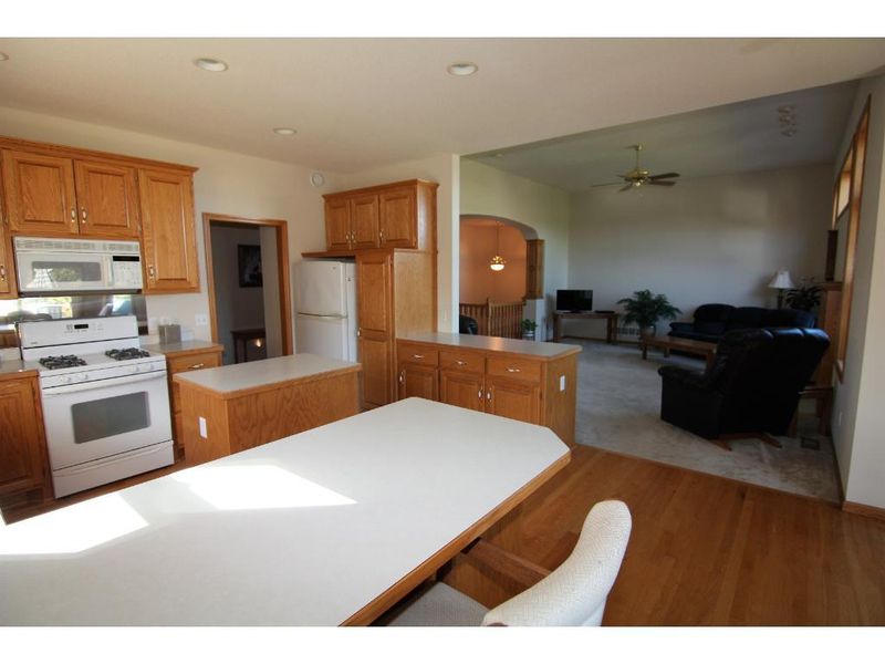 15833 Wake St NE, Ham Lake, MN 55304