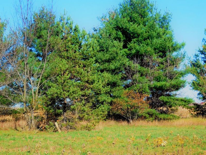 649 308th Ln NW, Cambridge, MN 55008
