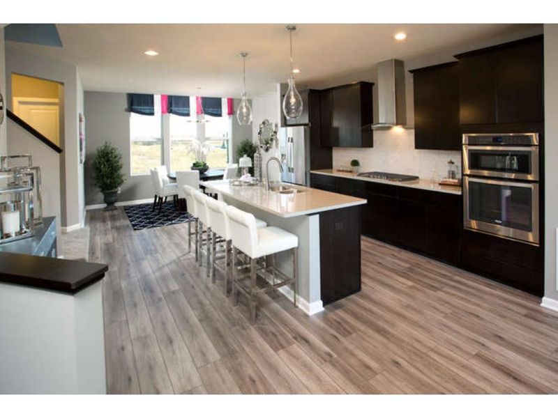 611 Satori Way, Chaska, MN 55318