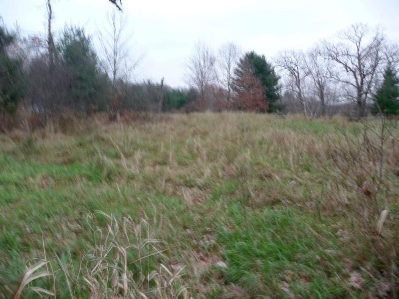 XXX 140th Ave, Amery, WI 54001