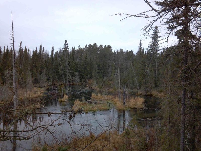 TBD Sartain St, Osage, MN 56570