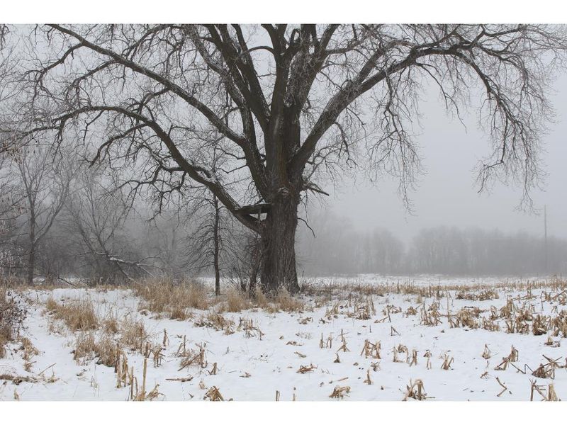 NA Ash St, Lino Lakes, MN 55038