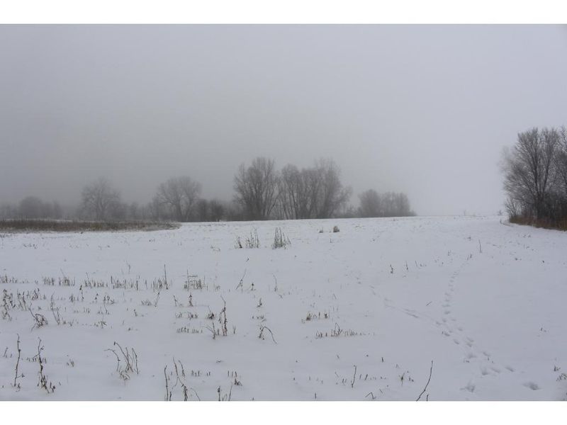NA Ash St, Lino Lakes, MN 55038