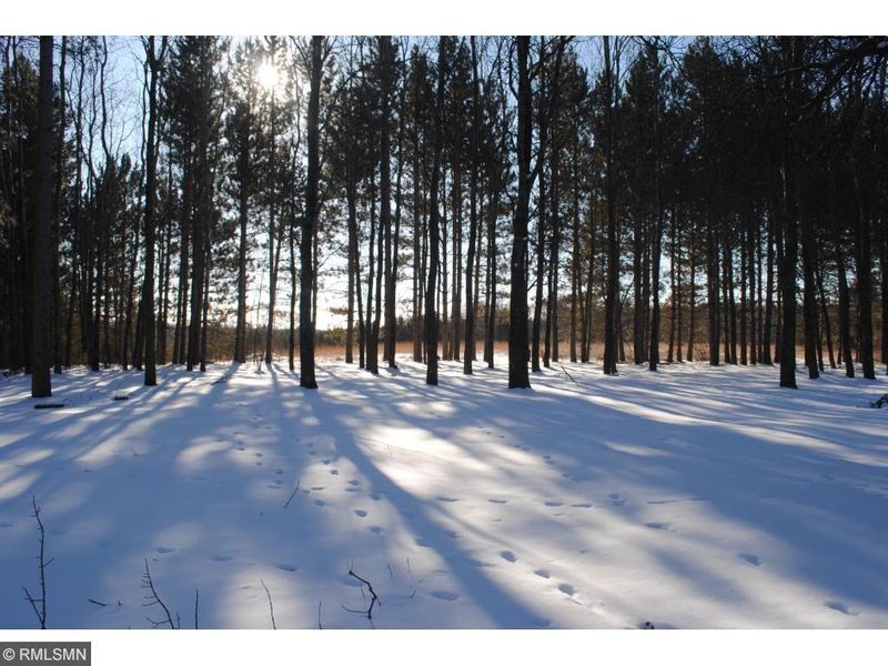 35665 Aztec Rd, Motley, MN 56466