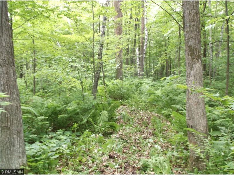 29657 Pineview Beach Road St, Brook Park, MN 55007