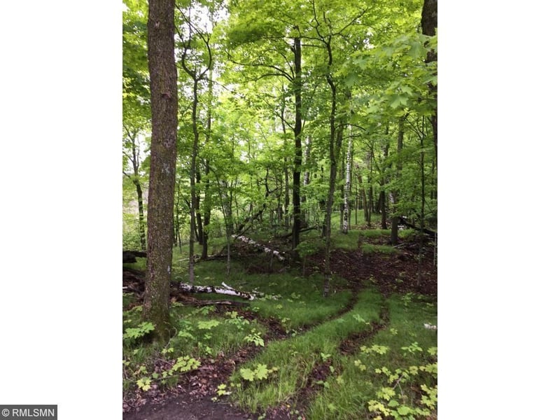 XXX Little Stoney Point Dr NE, Boy River, MN 56672