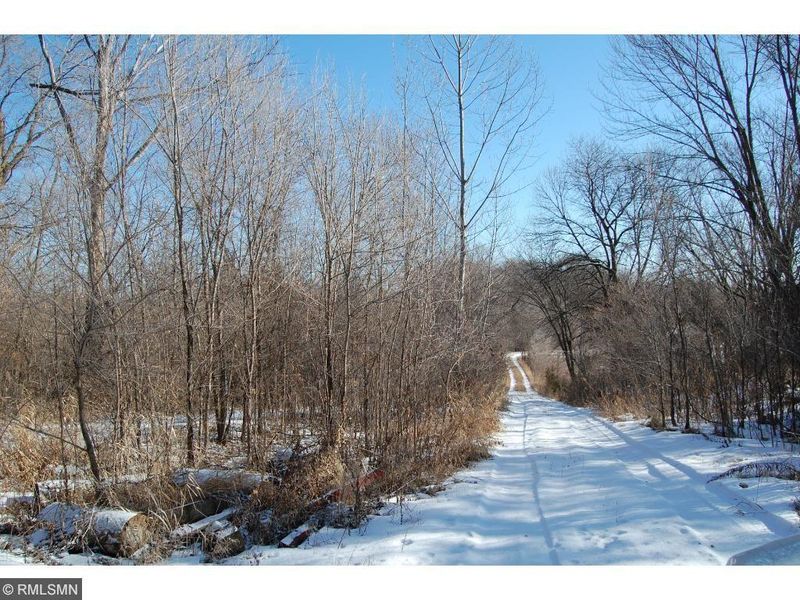 23981 723rd Ave, Dassel, MN 55325